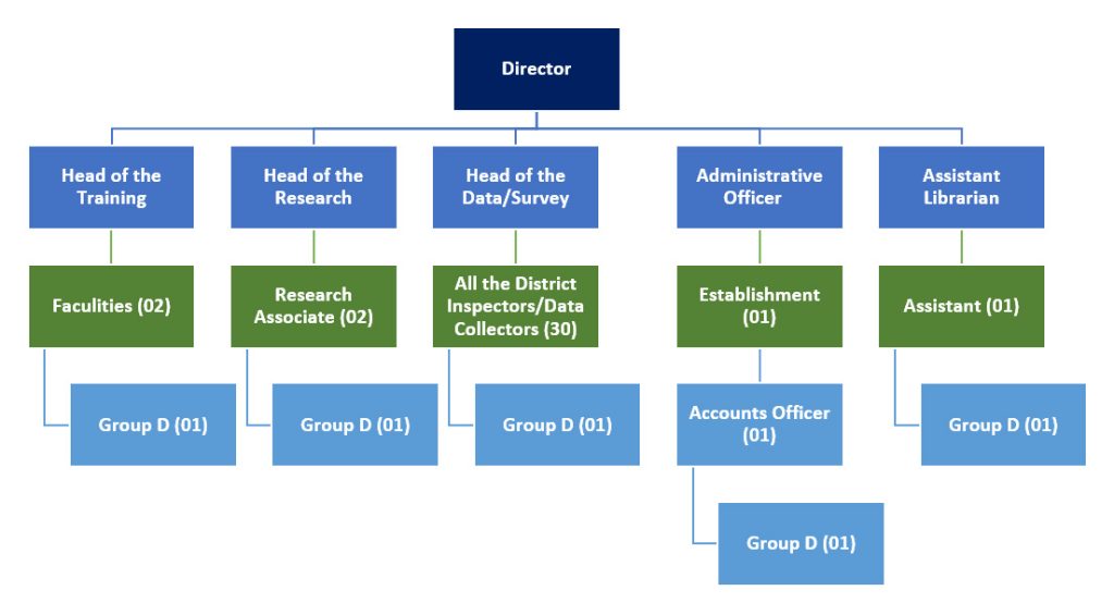 Organization Setup of CRAN Team